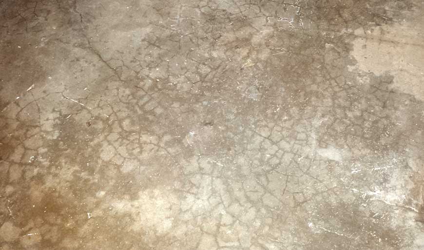 Kellerestrich mit Krakelrissen und Wasserschaden durch aufsteigende Feuchtigkeit